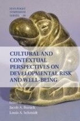 Cultural and Contextual Perspectives on Developmental Risk and Well-Being main product photo