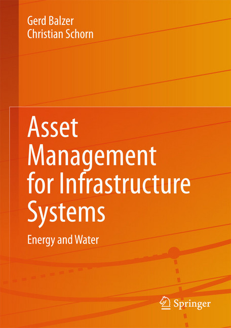 Asset Management for Infrastructure Systems main product photo