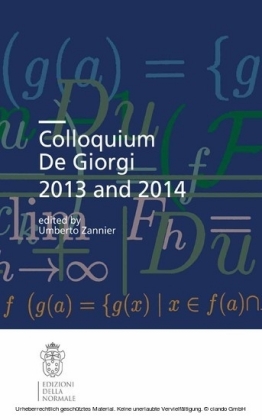 Colloquium De Giorgi 2013 and 2014