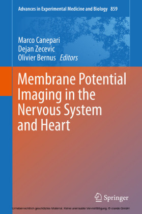 Membrane Potential Imaging in the Nervous System and Heart