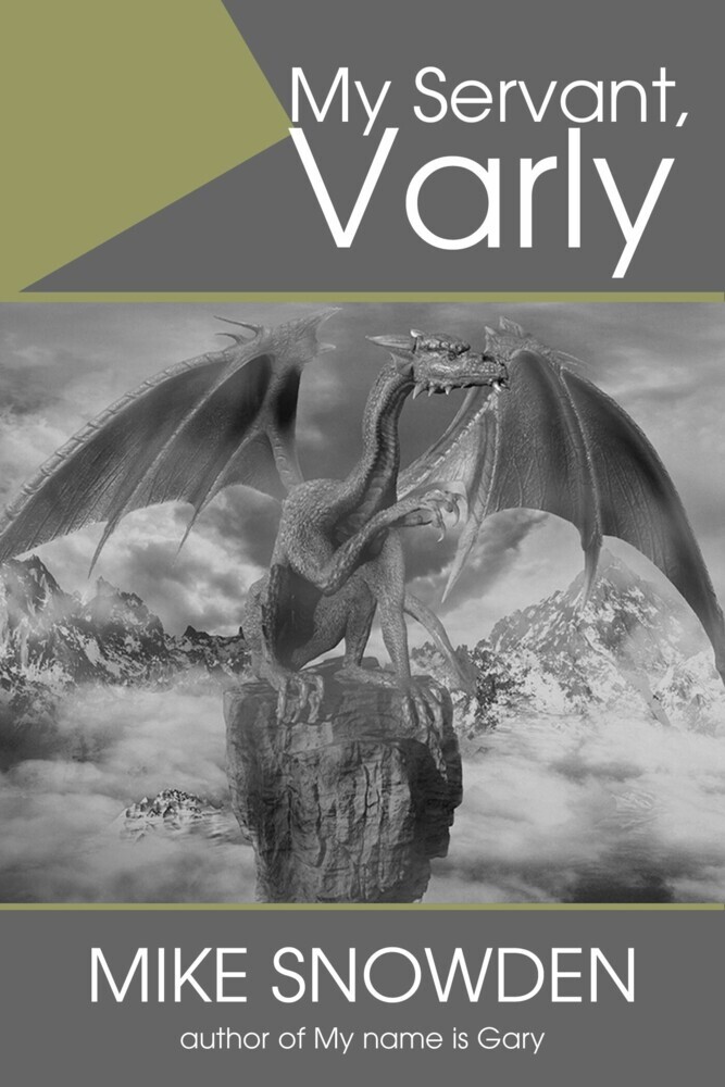 My Servant, Varly main product photo