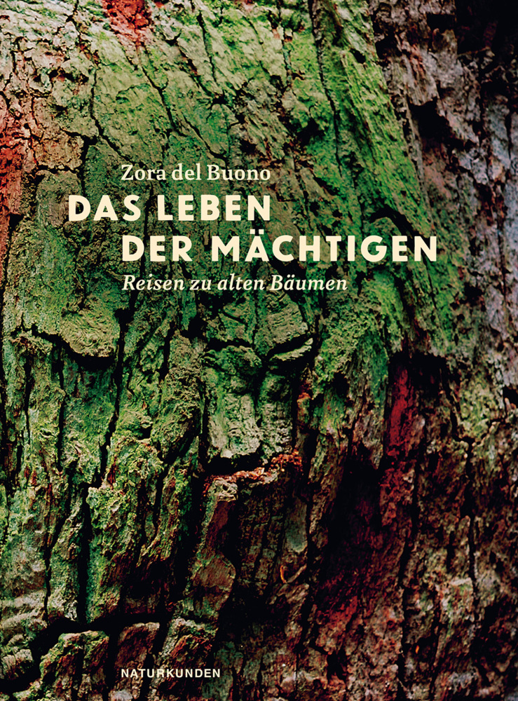Das Leben der Mächtigen main product photo