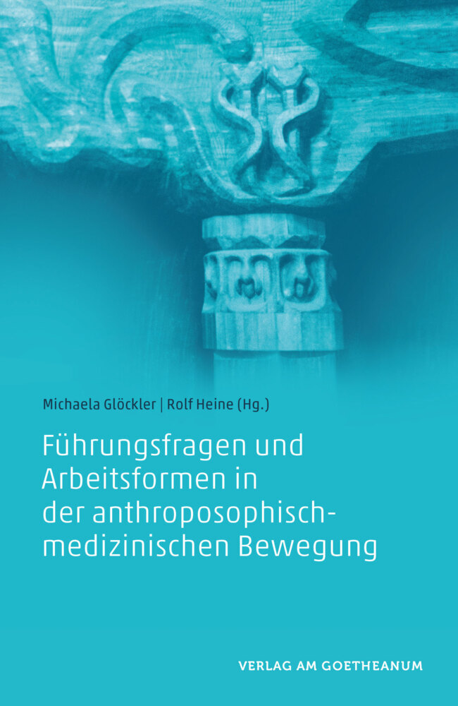 Führungsfragen und Arbeitsformen in der anthroposophisch-medizinischen Bewegung main product photo