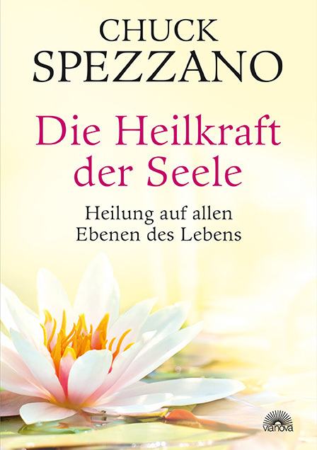 Die Heilkraft der Seele main product photo