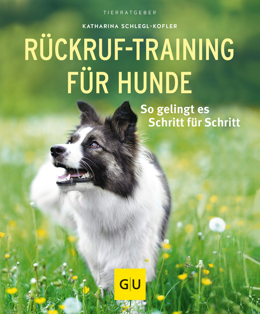Rückruf-Training für Hunde main product photo