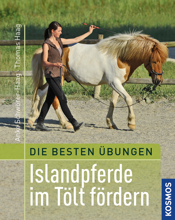 Beste Übungen: Islandpferde im Tölt fördern main product photo