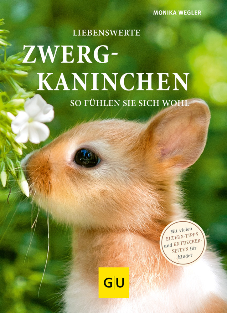 Liebenswerte Zwergkaninchen main product photo