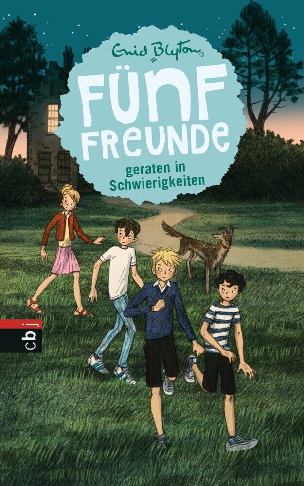 Fünf Freunde geraten in Schwierigkeiten main product photo