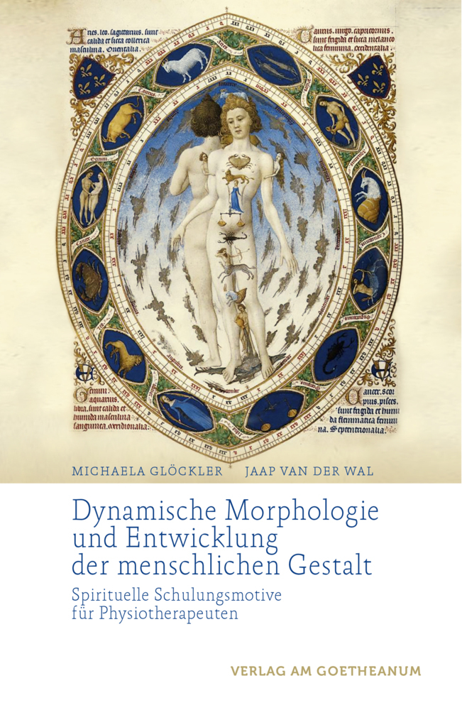 Dynamische Morphologie und Entwicklung der menschlichen Gestalt main product photo