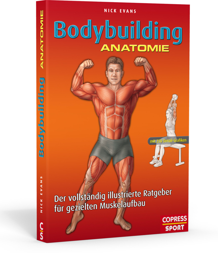 Bodybuilding Anatomie main product photo