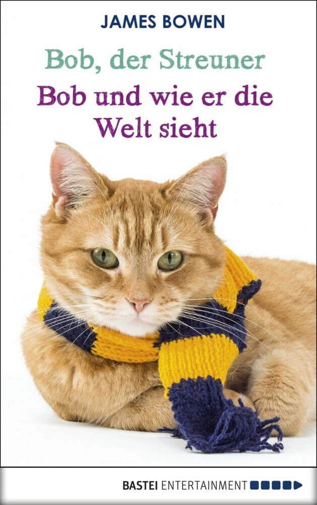 Bob, der Streuner - Bob und wie er die Welt sieht main product photo