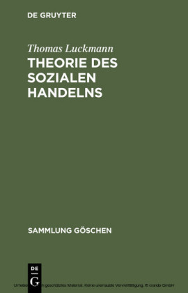 Theorie des sozialen Handelns