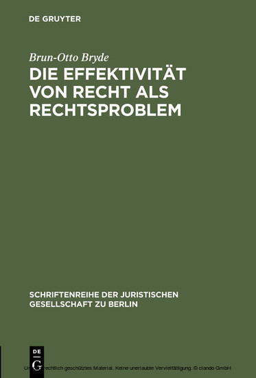 Die Effektivität von Recht als Rechtsproblem main product photo