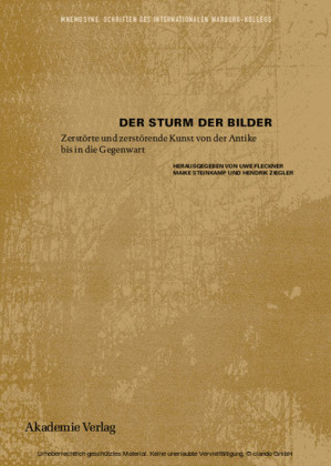 Der Sturm der Bilder