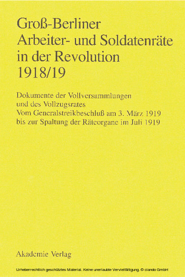 Groß-Berliner Arbeiter- und Soldatenräte in der Revolution 1918/19 main product photo