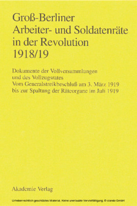 Groß-Berliner Arbeiter- und Soldatenräte in der Revolution 1918/19