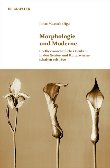 Morphologie und Moderne main product photo