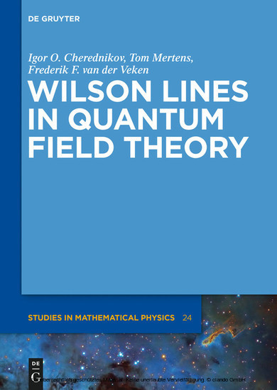 Wilson Lines in Quantum Field Theory main product photo