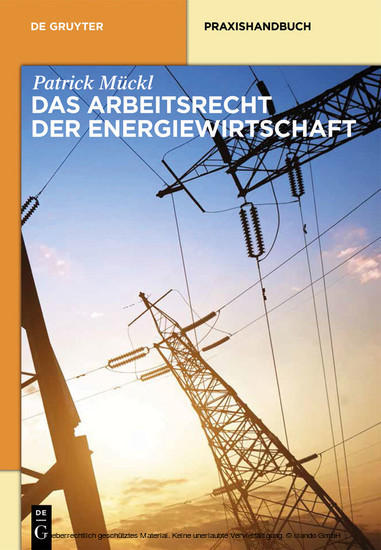 Das Arbeitsrecht der Energiewirtschaft main product photo