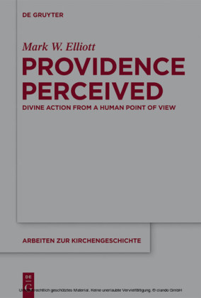 Providence Perceived