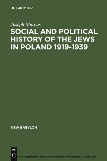 Social and Political History of the Jews in Poland 1919-1939 main product photo