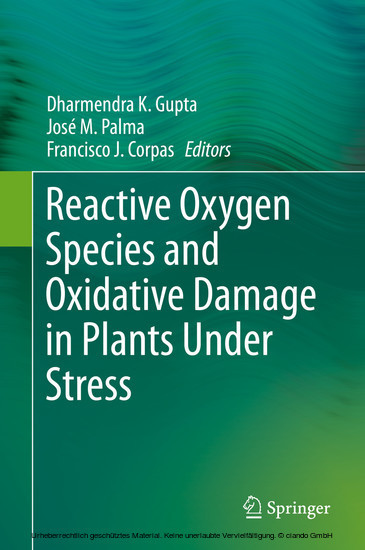 Reactive Oxygen Species and Oxidative Damage in Plants Under Stress main product photo
