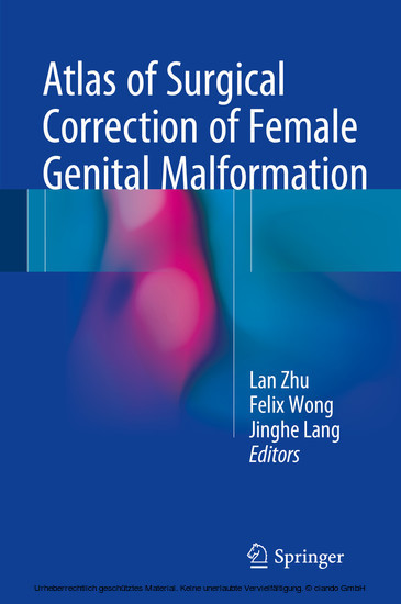 Atlas of Surgical Correction of Female Genital Malformation main product photo