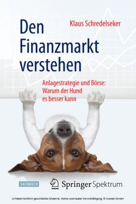 Den Finanzmarkt verstehen