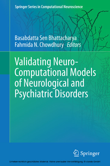Validating Neuro-Computational Models of Neurological and Psychiatric Disorders main product photo