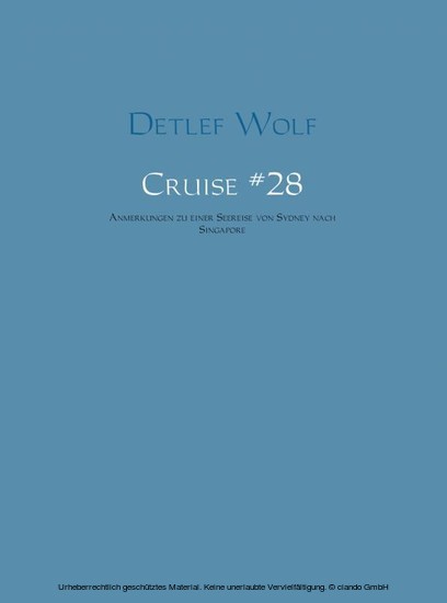 Cruise no 28 main product photo