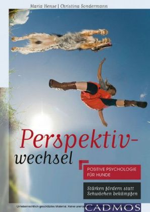 Perspektivwechsel