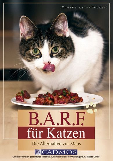 B.A.R.F. für Katzen main product photo