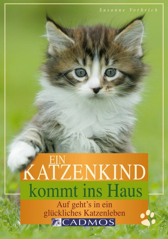 Ein Katzenkind kommt ins Haus main product photo