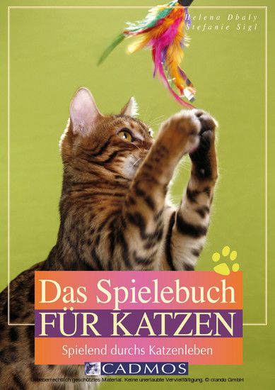Das Spielebuch für Katzen main product photo