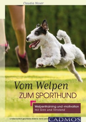 Vom Welpen zum Sporthund