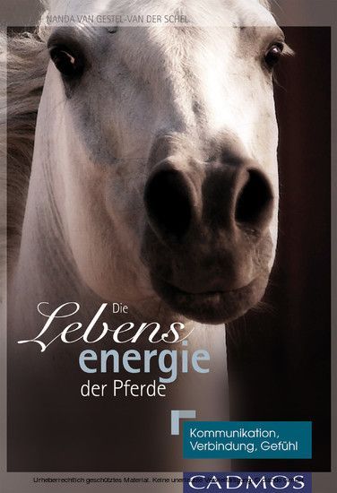 Die Lebensenergie der Pferde main product photo