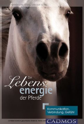 Die Lebensenergie der Pferde