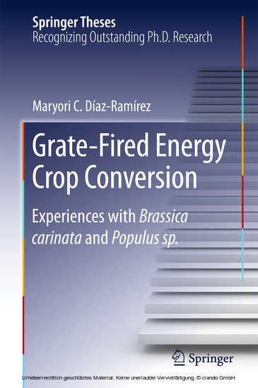 Grate-Fired Energy Crop Conversion main product photo