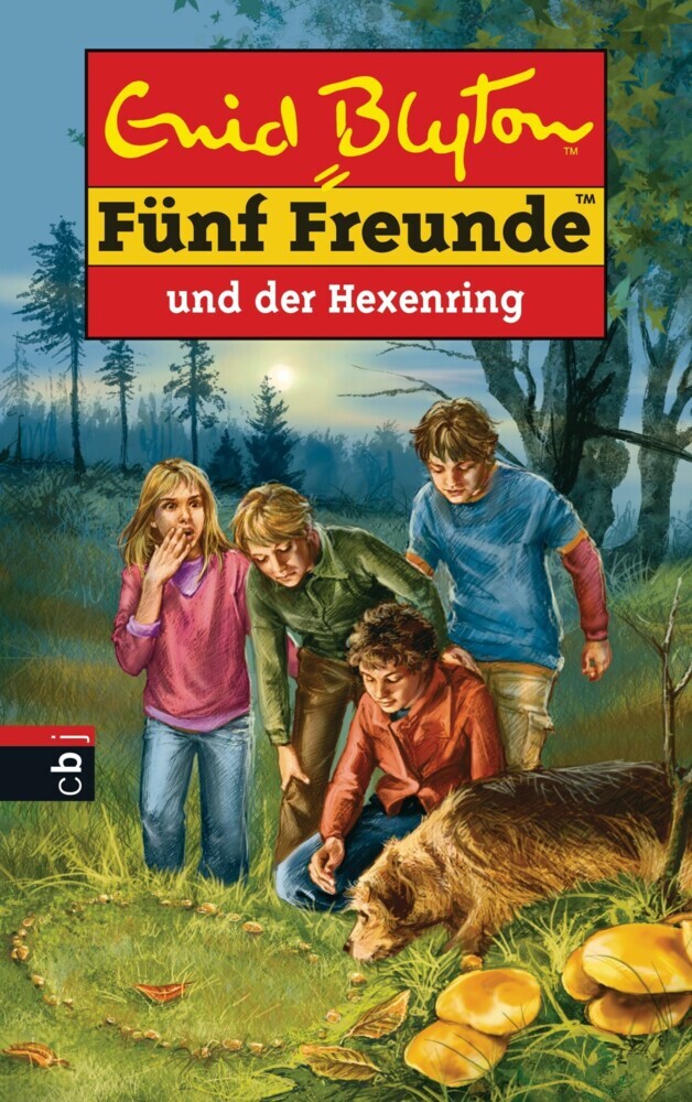 Fünf Freunde und der Hexenring main product photo