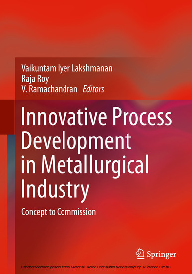 Innovative Process Development in Metallurgical Industry main product photo