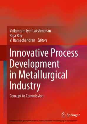 Innovative Process Development in Metallurgical Industry