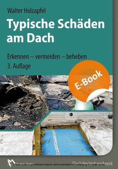 Typische Schäden am Dach, 3. Auflage main product photo