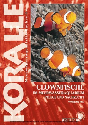 Clownfische Im Meerwasseraquarium
