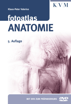 Fotoatlas Anatomie, m. DVD