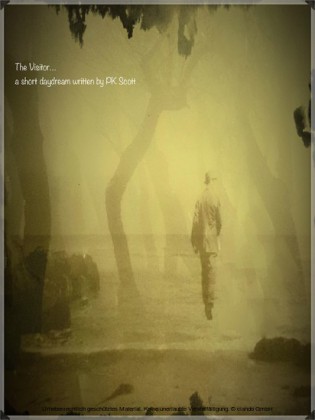 The Visitor