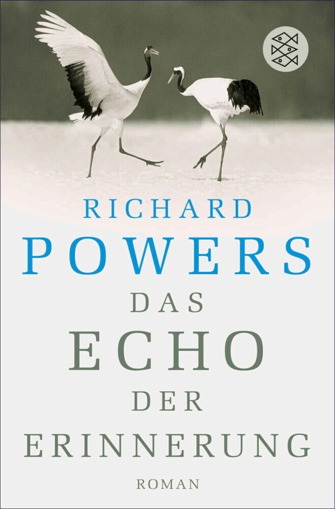 Das Echo der Erinnerung main product photo