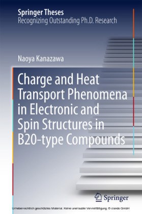 Charge and Heat Transport Phenomena in Electronic and Spin Structures in B20-type Compounds