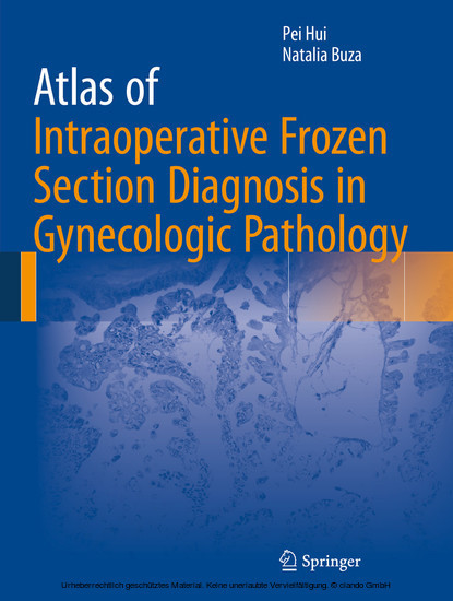Atlas of Intraoperative Frozen Section Diagnosis in Gynecologic Pathology main product photo