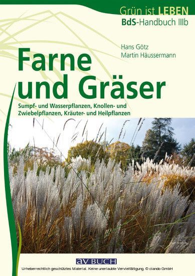 Farne und Gräser main product photo