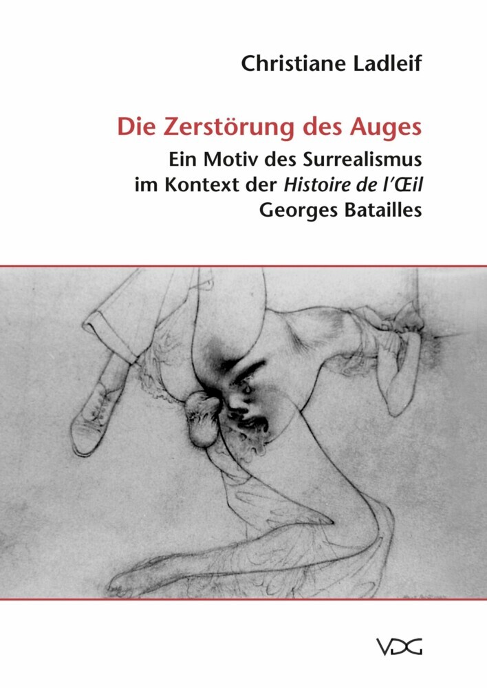Die Zerstörung des Auges main product photo
